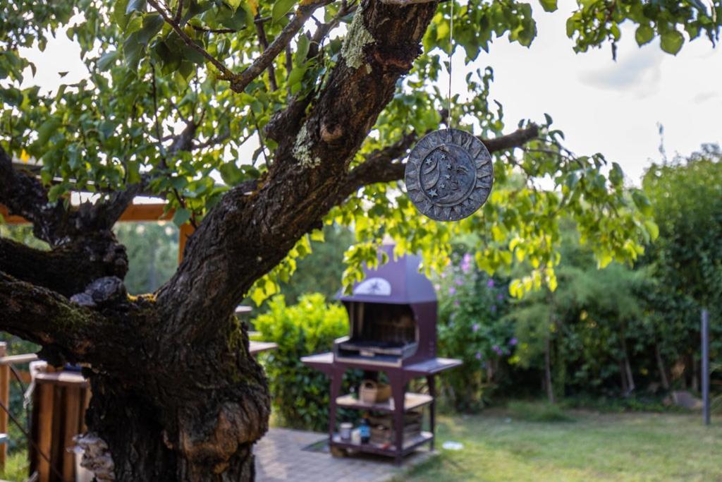 Toscana Da Sogno A Villa Allegria Siena Exteriör bild